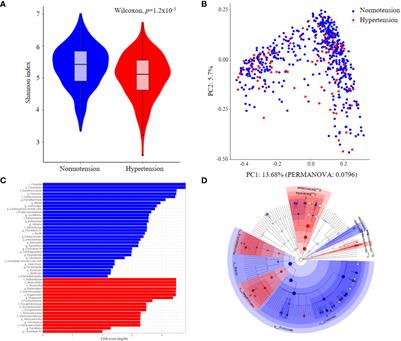 The association between gut microbiome and hypertension varies according to enterotypes: a Korean study